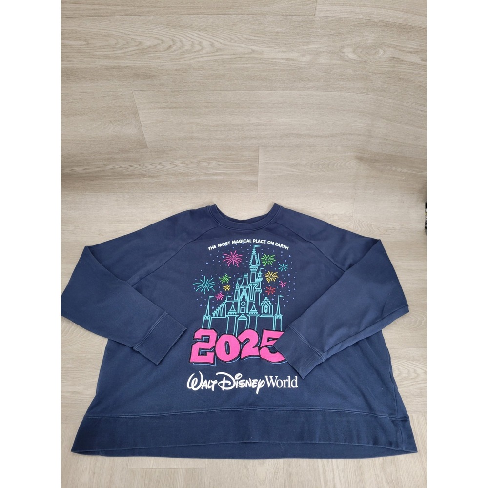 2025 Disneyland Sweatshirt Women's 3X Cinderella Castle Fireworks Mickey Disney